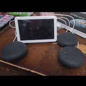 Google Smart Home System